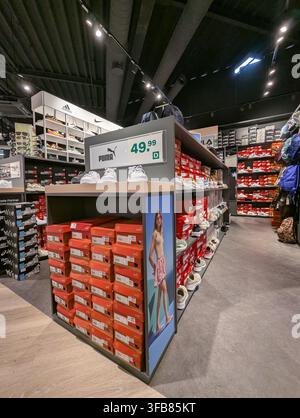Puma-Schuhausstellung im Ladeninneren mit Preisschild und Logos auf den Regalen. Stockfoto