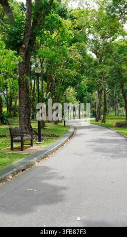 Parkweg mit Bäumen und Bänken. Ein geschwungener gepflasterter Gehweg durch einen grünen Park, gesäumt von hohen Bäumen und Holzbanken an einem sonnigen Tag. Stockfoto