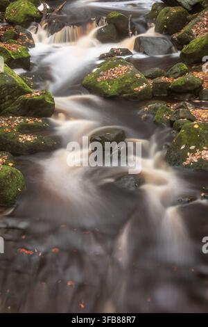 Atemberaubende, lebendige Herbstlandschaft von Padley Gorge im Peak District, England Stockfoto