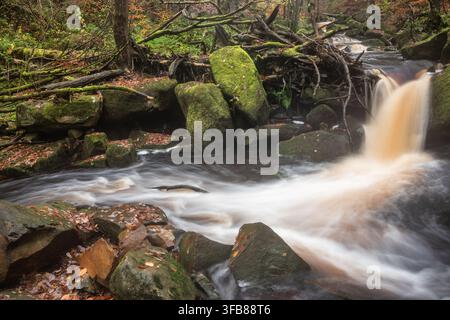 Atemberaubende, lebendige Herbstlandschaft von Padley Gorge im Peak District, England Stockfoto
