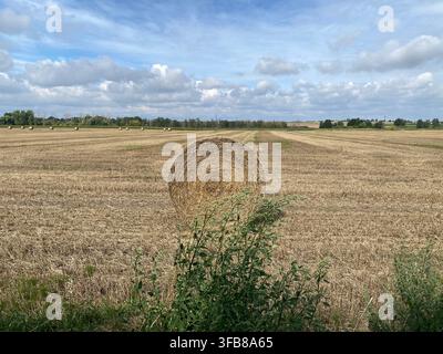 Einzelne Heuballen liegen in trockenem Gras auf einem Acker, mit entfernten Bäumen und sich wiederholenden Erntereihen unter einem wolkigen blauen Himmel, die eine ruhige Landschaft schaffen Stockfoto