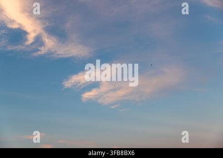 Pastellfarbener Sonnenuntergangshimmel als Hintergrund mit weichen rosa Wolken und kleinen fliegenden Vögeln Stockfoto