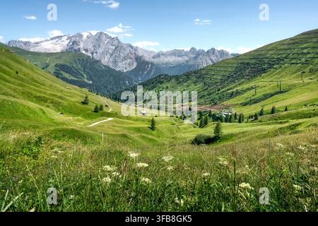 Alpenblick auf den Marmolada-Gletscher und felsige Gipfel von grünen Alpenwiesen am Sellapass. Dolomiten, Trentino-Südtirol, Italien Stockfoto