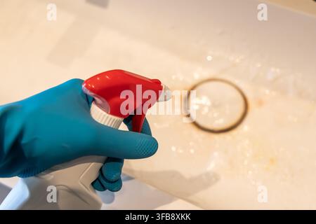 Eine Person trägt einen blauen Schutzhandschuh und hält eine rote Sprühflasche, um Reiniger auf einen verfärbten Waschbeckenabflussbereich aufzutragen Stockfoto