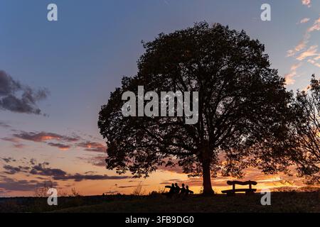 Sonnenuntergang über dem Hügel mit einem riesigen alten Baum und Menschen-Silhouetten, die auf einer Holzbank sitzen, um die Ruhe und Schönheit der Natur zu genießen. Stockfoto