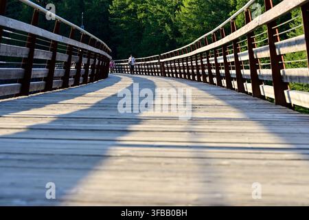 Niedrigwinkelaufnahme von Touristen, die auf dem gebogenen Holzsteg des historischen Kinsol Trestle am Cowichan Valley Trail in BC, Kanada, entlanggehen. Stockfoto