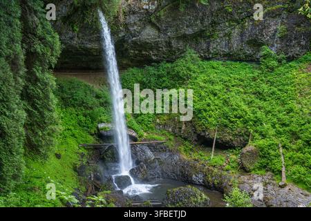 Wasser fließt anmutig über Felsen inmitten üppiger Vegetation in Oregon. Stockfoto