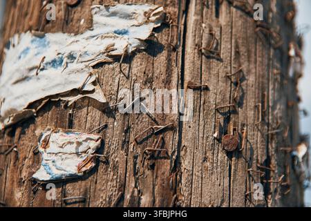 Nahaufnahme einer verwitterten Holzstrommastoberfläche, bedeckt mit rostigen Heftklammern und zerrissenen Resten alter Papierflugblätter. Stockfoto