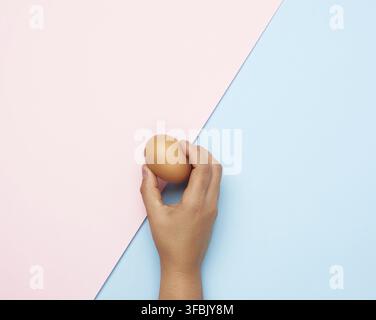 Weibliche Hand hält ein ganzes braunes Hühnereier auf einem Rosa-blauer Hintergrund Stockfoto