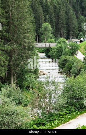 Beruhigende Waldszene mit einem kleinen Wasserfall und einer Holzbrücke, umgeben von üppiger Vegetation. Dolomiten, Italien Stockfoto