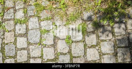 Alte Kopfsteinpflaster Hintergrund mit Unkraut Stockfoto