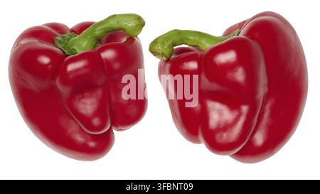 Zwei reife rote Paprika mit grünen Stielen, isolierter Hintergrund. Nahaufnahme Stockfoto