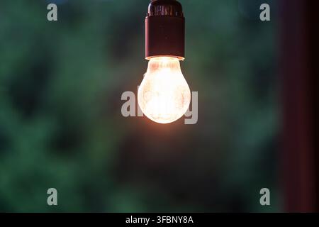 Lichterkette leuchtet vor einem üppigen grünen Hintergrund und erzeugt eine festliche und gemütliche Atmosphäre. Stockfoto