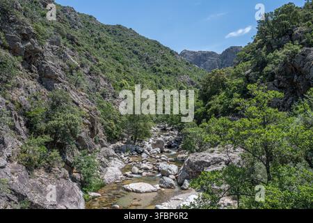 Corse Frankreich Gorges de Spelunca Landschaft Natur Wildwestküste. Stockfoto