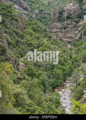 Corse Frankreich Gorges de Spelunca Landschaft Natur Wildwestküste. Stockfoto