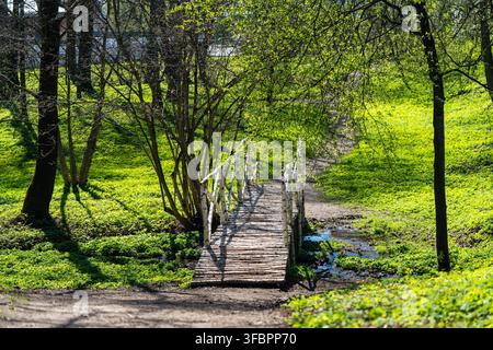 Holzbrücke erstreckt sich über einen kleinen Bach in einer grünen, bewaldeten Gegend. Umgeben von üppigen Bäumen und Gras. Stockfoto