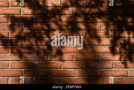 Strukturierte rote Ziegelwand, bedeckt mit zarten Schatten von Blättern und Ästen. Licht- und Schattenspiele sorgen für mehr Tiefe und sorgen für eine atmosphärische urbane Atmosphäre Stockfoto