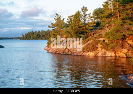 Eine felsige Küste in Georgian Bay wird im Licht der Morgendämmerung gebadet Stockfoto