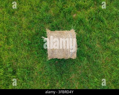 Luftbild einer einzelnen runden Heuballe, die auf einem üppigen grünen Feld in Lettland ruht. Stockfoto