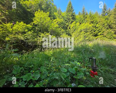 Kaffeezubereitung im Freien auf einem tragbaren Campingkocher in einer wilden Bergwiese in der Nähe des Dorfes Mugla, Rhodopen, Bulgarien Stockfoto