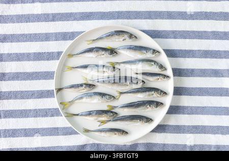 Frische Sardinen liegen auf einem weißen großen Teller auf einer gestreiften weiß-blauen Serviette, die einen schönen Kontrast zur Farbe des Fisches bildet. Frischer Fisch. Meeresfrüchte. Stockfoto