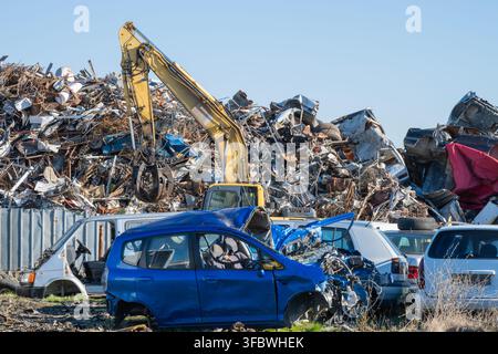 Ein Bagger arbeitet auf einem massiven Schrottplatz mit Haufen von weggeworfenen Fahrzeugen und Industrieabfällen. Stockfoto
