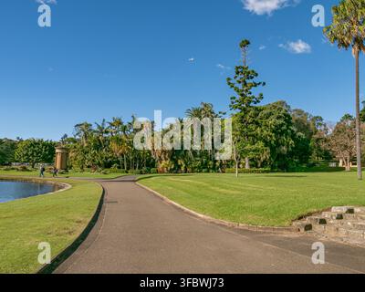 Sydney, New South Wales, Australien, 07.03.2026: Ein gewundener Pfad windet sich durch einen üppigen grünen Park. Palmen und tropisches Laub säumen den Gehweg. Klares Blau Stockfoto