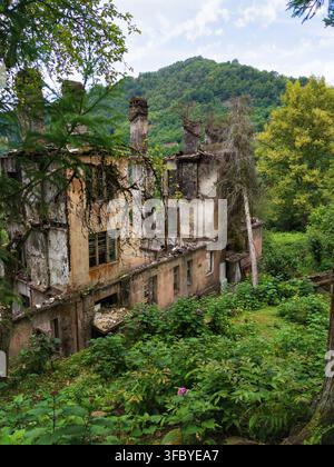 Zerstörtes mehrstöckiges Gebäude, verlassen in einem üppigen grünen Wald, Akarmara, Abchasien. Eingestürzte historische Architektur, von Bäumen überwuchert. Die Natur erobert zurück Stockfoto