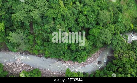 Luftaufnahme eines tropischen Waldes mit einem sich windenden Fluss, der durch üppige grüne Vegetation fließt, aufgenommen von einer Drohne von oben, der eine schöne und Stockfoto