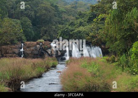 Wasser fließt über dunkle Felsen und bildet eine Reihe kleiner Wasserfälle, umgeben von grünen Pflanzen in den Wäldern des Distrikts Coorg, Karnataka, Indien. Stockfoto