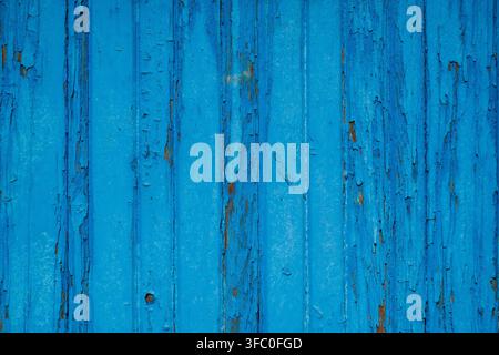 Lebendiger blauer Hintergrund aus lackierten Holzplanken mit verwitterter, abblätternder Farbe, reicher Textur und vertikalen Faserliniendetails. Stockfoto