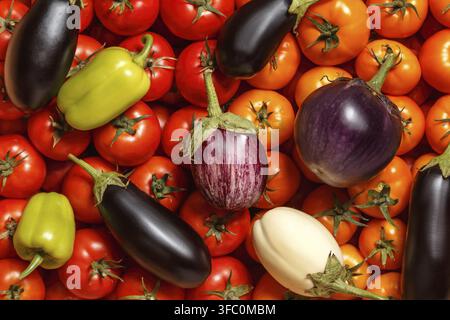 Oberansicht von frischen Auberginen verschiedener Sorten und grünen Paprikaschoten auf roten und orangefarbenen Tomaten. Nahrungsmittelhintergrund Stockfoto