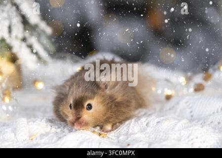 Ein lustiger zotteliger flauschiger Hamster in der Nähe des Weihnachtsbaums vor einem Weihnachts-Hintergrund mit Lichterketten und Bokeh Stockfoto