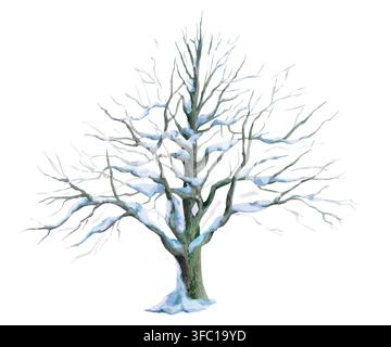 Eine Aquarellillustration eines mächtigen Eichenbaums, der mit Schnee bedeckt ist. Geeignet für Naturbücher, Stammbäume, Bildungsmaterialien, Postkarten, Parklogos, Stockfoto