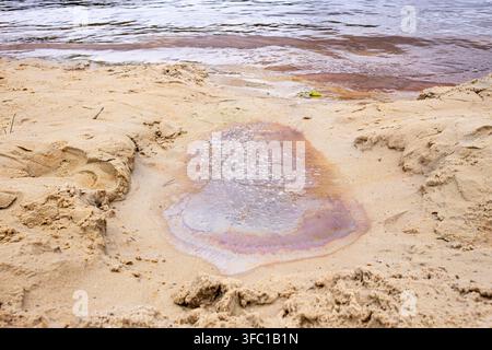 Öl- oder Benzinverschmutzung in der Natur, im Seewasser und auf dem Sand nahe dem Ufer. Stockfoto