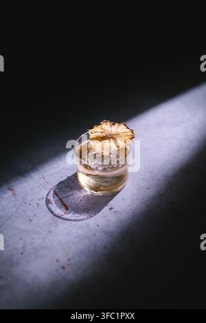 Goldener Cocktail mit einer getrockneten Zitrus-Scheibe in einem Tumbler in einem Lichtstrahl auf grauem Stein vor dunklem, stimmungsvollerem minimalistischem Getränkefoto Stockfoto