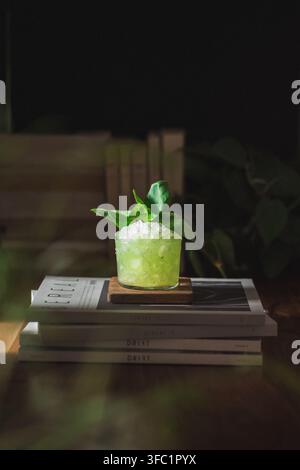 Grüner Mint-Julep-Cocktail im Stil mit zerstoßenem Eis und einem Minz Zweig in einem Tumbler auf einem Stapel Bücher in der dunklen, stimmungsvollen Hausbar Getränke-Foto Stockfoto