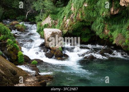 Kristallklarer türkisfarbener Quellsee und Süßwasser-Flussbecken unter der Klippe Stockfoto