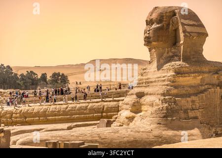 Ägypten, Kairo, Gizeh, Memphis und seine Nekropole, die Gebiete um die Pyramiden von Gizeh und Dahschur, die als UNESCO-Weltkulturerbe gelistet sind, und die Große Sphinx Stockfoto