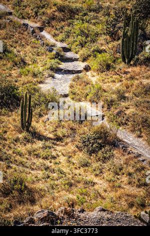 Peru, Südamerika: der Steinpfad am Mirador Cruz del Condor, berühmter Aussichtspunkt im Colca-Tal, Heimat der riesigen Andenkondore Stockfoto