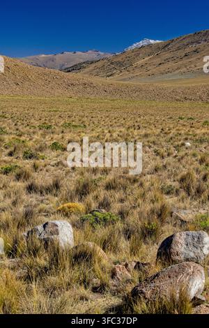 Peru, Südamerika: atemberaubende Landschaft im Salinas y Aguada Blanca Nationalreservat, Blick auf Vulkane vom Mirador Chucura am Patapampa-Pass Stockfoto