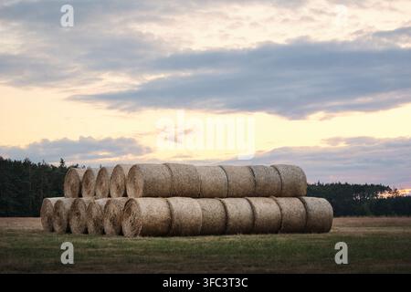 Gestapelte runde Strohballen auf einem abgeernteten Feld unter einem bewölkten Abendhimmel, die die Erntesaison und die ländliche Landwirtschaft widerspiegeln. Stockfoto
