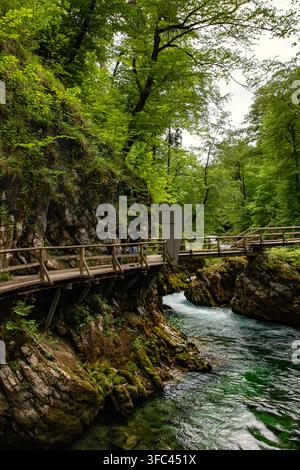 Blick auf eine Person, die auf einem Holzsteg entlang der felsigen Klippen der Vintgar-Schlucht geht, mit dem türkisfarbenen Fluss, der unten fließt, und dem üppigen grünen Wald i Stockfoto