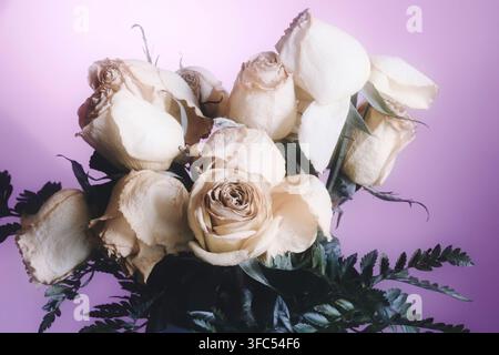 Ein Strauß verwelkter Rosen, der den Tod symbolisiert. Stockfoto