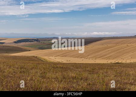 Blick über Felder und Hügel im ländlichen Sussex, mit Strohballen nach der Ernte Stockfoto