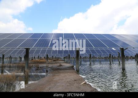 Unter einem klaren blauen Himmel sind Reihen von tiefblauen Solarphotovoltaik-Panels über Wasser installiert und bilden ein spektakuläres Array. Ein Schotterweg in der Mitte Stockfoto