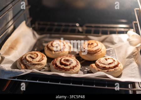 Nahaufnahme einer Person, die ein Backblech mit hausgemachten Zimtschnecken in den Ofen schiebt. Ungebackene süße Schnecken sind auf Backpapier angeordnet, bereit für b Stockfoto