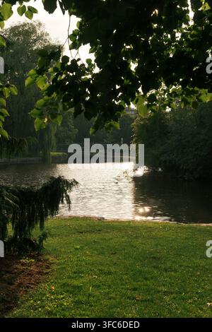 Sonnenbeschienener Teich, eingerahmt von Baumästen mit Fußgängerbrücke im Park, Ontario, Kanada. Stockfoto