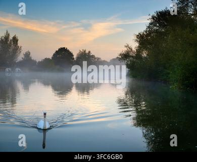 Einsamer Schwan bei Sonnenaufgang auf der Themse bei Radley. Leuchtendes erstes Licht über einem wunderschönen Abschnitt der Themse am Radley Boathouse. Das 1921 gegründete Bootshaus dient seit mehr als einem Jahrhundert für Radley College und lokale Ruderfreunde. Schwäne wie diesen an einem nebeligen Herbstmorgen zu sehen, erinnert mich unwiderstehlich an den Schwan von Tuonela, einen mystischen Schwan, der für immer in der Unterwelt schwimmt im großen finnischen mythologischen Epos Kalevala Vielleicht bin ich es nur? Stockfoto
