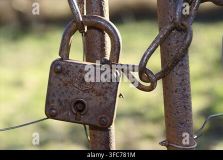 Rusty Schloss auf einem Gartentor Stockfoto